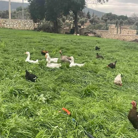 Goekler Ciftliginde Ekolojik Tatil فندق فوكا